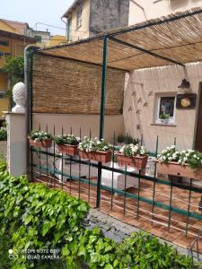 a group of potted plants on a fence at Rio Groppo Guesthouse in Manarola