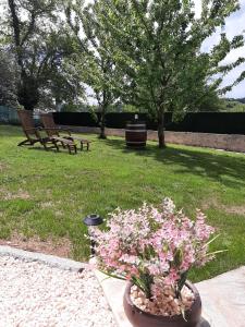 una maceta de flores en un parque con dos bancos en Casa Galipendre, en A Estrada