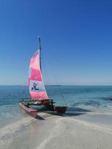 um pequeno barco à vela sentado na praia em Masirah Beach camp em Al Qārin