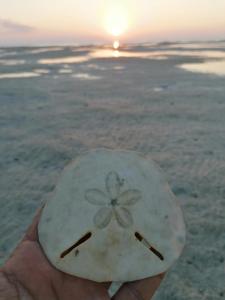 a person holding a rock with a flower painted on it at Masirah Beach camp in Al Qārin