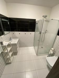 een badkamer met een douche, een toilet en een wastafel bij Apartament RUBINOWY Pięć Mórz - Sianożęty in Sianozety