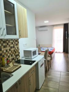 a kitchen with a counter top and a microwave at Székely-Lak Apartman Hegykő in Hegykő