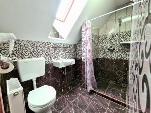 uma casa de banho com um WC, um lavatório e um chuveiro em Székely-Lak Apartman Hegykő em Hegykő