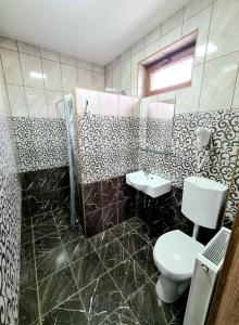 Székely-Lak Apartman Hegykő في هيغيكو: حمام مع مرحاض ومغسلة