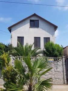 une maison blanche avec un palmier en face dans l'établissement Гостевой дом Поти, à Poti