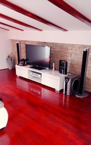 Televízia a/alebo spoločenská miestnosť v ubytovaní Apartments Benic