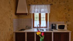 a kitchen with a sink and a window at House Avena with spa & gym in Labin