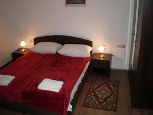 Postel nebo postele na pokoji v ubytování Rooms Modrušan
