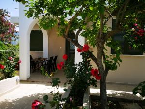 Zahrada ubytování Casa da Bugainvillea