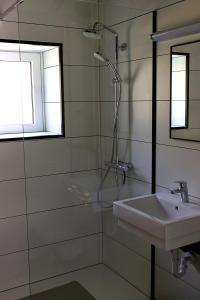 a bathroom with a shower and a sink at Le Vieux Sart 32 Coo in Stavelot