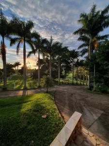 a park with palm trees and a bench at Pousada Recanto da Lunane in Barra do Piraí