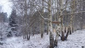 Pensjonacik Zacisze v zime
