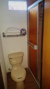 La salle de bains est pourvue de toilettes et d'une douche en verre. dans l'établissement Hotel Centric Chihuahua, à Chihuahua