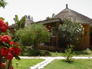 dom z ogrodem z czerwonymi kwiatami przed nim w obiekcie Le Dakan w mieście Saly Portudal