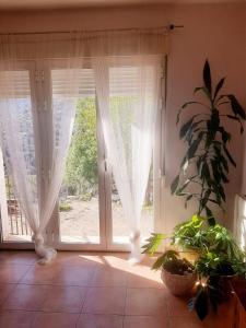 una ventana con cortinas blancas y una planta en una habitación en Casa rural La Casita del Arte, en Robledo de Chavela