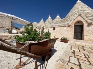 a plant in a wheelbarrow in front of a building at i Trulli del Fauno in Alberobello