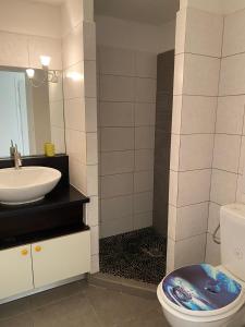a bathroom with a sink and a toilet and a mirror at Appartement les pieds dans l'eau l'autre bord LE MOULE in Le Moule
