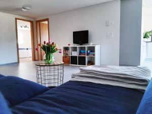 a living room with a couch and a tv at Haus Melchaazopf in Giswil
