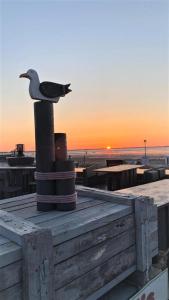 Päikesetõus või päikeseloojang apartemendi juurest või lähedalt vaadatuna