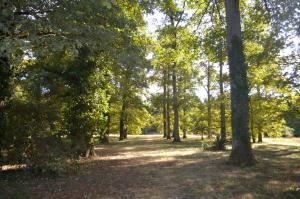 a wooded area with trees in a park at Maison lAmrique welcome you to one of their rooms Dogs are also welcomed in Saint-Jean-le-Blanc