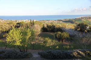 een uitzicht op een veld met bomen en de oceaan bij Villa Panorama Sirolo in Sirolo