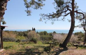 uitzicht op de oceaan vanuit de tuin bij Villa Panorama Sirolo in Sirolo