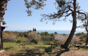 a view of the ocean from the garden at Villa Panorama Sirolo in Sirolo