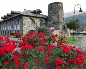 a group of red flowers in front of a building at Hotel PALAS in Bruzolo