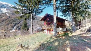 Priroda u blizini apartmana