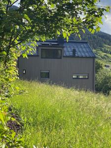 een huis op een heuvel met gras bij App 47 in Wagrain