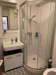 ein Bad mit einer Dusche und einem Waschbecken in der Unterkunft Wanderlust Apartment Baden-Baden in Baden-Baden