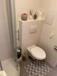 a small bathroom with a toilet and a shower at Wanderlust Apartment Baden-Baden in Baden-Baden