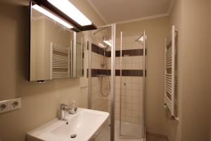 ein Bad mit einem Waschbecken und einer Dusche in der Unterkunft Villa Seeluft by Rujana in Ostseebad Sellin