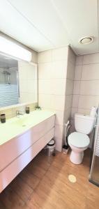 W łazience znajduje się toaleta, umywalka i lustro. w obiekcie Tiberias 1 w mieście Tyberiada