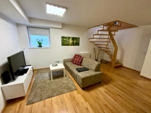 TV a/nebo společenská místnost v ubytování 4*+ Maisonette-Apartment