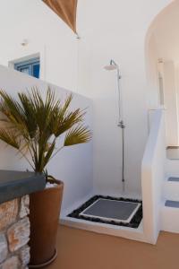 a bathroom with a shower and a potted plant at The Z Private Villa, Santorini in Monolithos