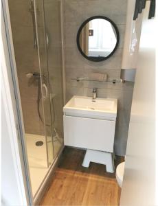 een badkamer met een douche, een wastafel en een spiegel bij Somptueux studio Hyper Centre avec WIFI in Orléans