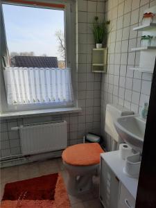 Et badeværelse på Boddenblick - Ferienwohnung mit Gartennutzung in Grieben Hiddensee