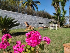 a garden with pink flowers and a chair and a building at Casita Spagnola in Marsala +69 photos