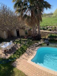 une cour avec une piscine, une table et un palmier dans l'établissement Chambres d'hôtes la Soulenque Luxury B & B, à Capestang
