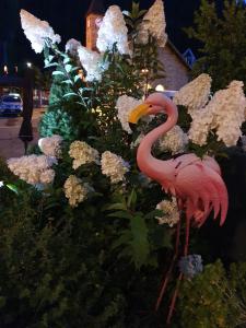 A garden outside Boutique-Hôtel Chez Jan