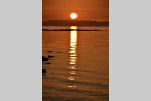 un gruppo di uccelli sull'acqua al tramonto di Prestwick Flat Central Location a Prestwick