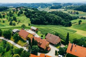 una vista aérea de una casa en un viñedo en Wine & Tourism Bračko 