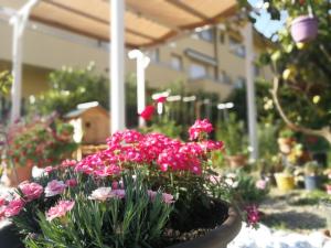 a pot of pink flowers in a garden at Dianostellamarina in Diano Marina