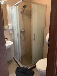 a bathroom with a shower with a toilet and a sink at Balaton Apartmanház in Siófok