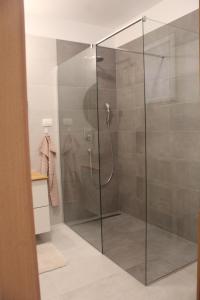 een douche met een glazen deur in de badkamer bij Sanda in Banjole