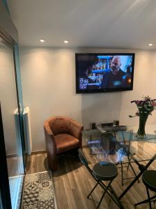 TV a/nebo společenská místnost v ubytování T1, spa privé accès piscine sauna