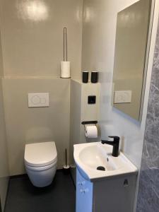 een badkamer met een wit toilet en een wastafel bij Sheepyhead in Dordrecht