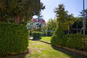 Zahrada ubytování Villa Pardi