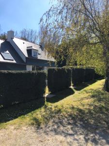 eine Reihe von Hecken vor einem Haus in der Unterkunft Appartement rénové en duplex à proximité du centre in Le Palais